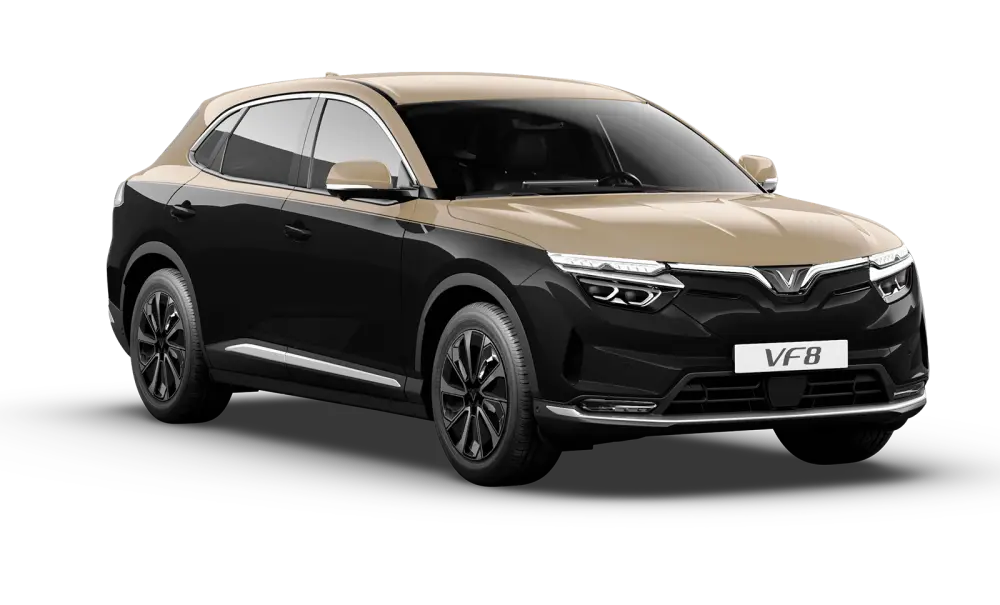 VF8 PLUS